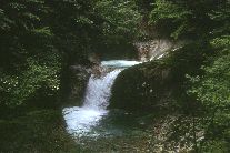 西沢渓の滝１