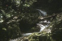 八ツ淵の滝１