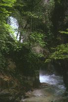 竜門の滝