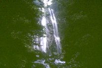 矢研の滝１
